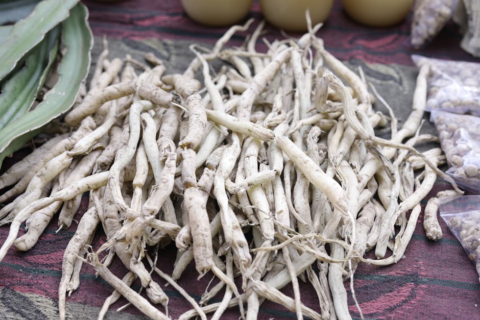 Ashwagandha: Para que Serve, Benefícios, Doses e Como Tomar - Integravita