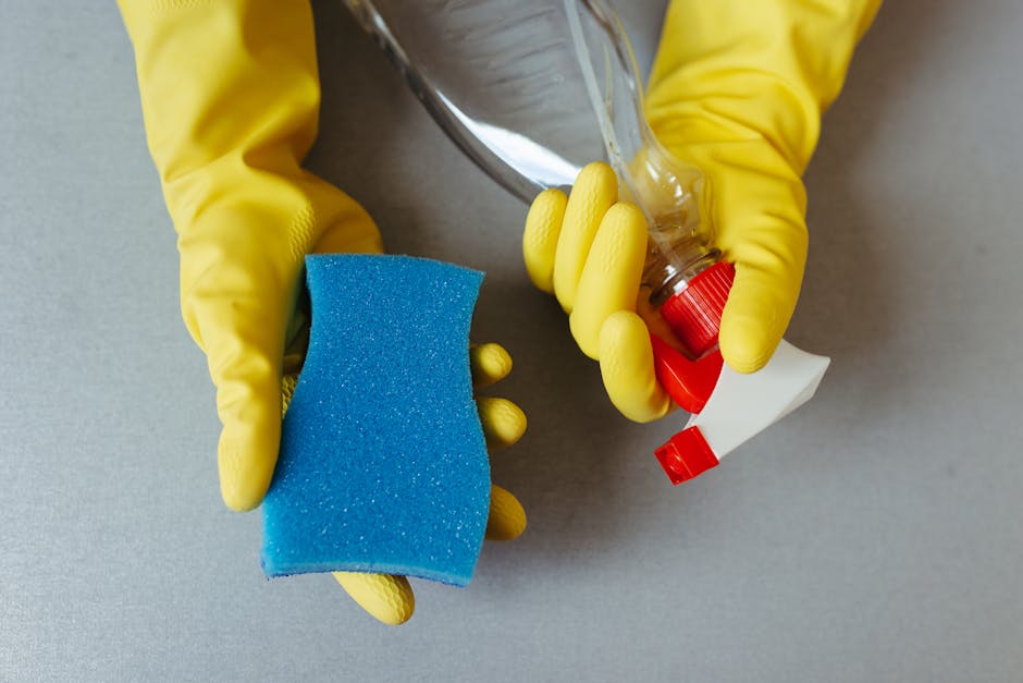 Pseudomonas nos Produtos de Limpeza: O Problema é Só a Bactéria? - Integravita