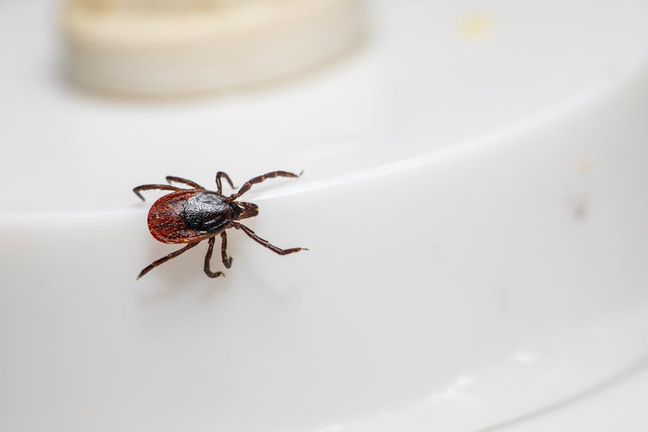 Pseudomonas nos Produtos de Limpeza: O Problema é Só a Bactéria? - Integravita