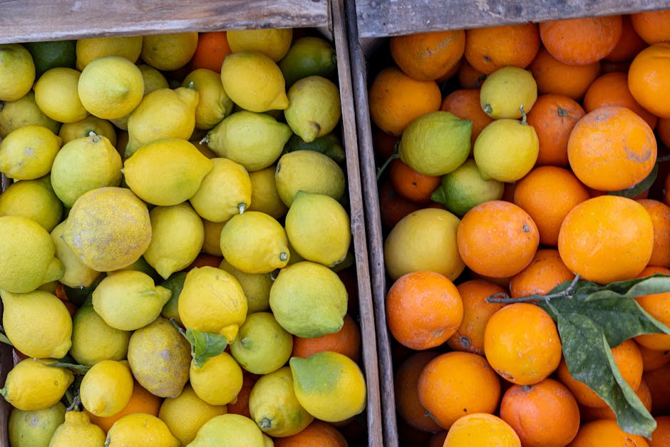 Vitamina C: Para que Serve, Benefícios, Doses e Como Suplementar - Integravita